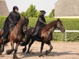 IMG_0764_web